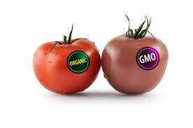 8 Genetically Modified Foods to Avoid