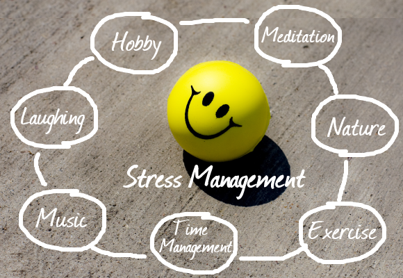 Stress Management For Winning Your Vitality, Balance, And Meaning Of Life